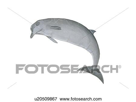 Stock Photo - Illustration of a Sowerby's beaked whale (Mesoplodon bidens) showing shape and characteristic markings. . Fotosearch