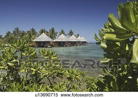 International Hotel, Beach apartments, Tahiti, French Polynesia, Southern Pacific Ocean. View Large Photo Image Stock Photography - International Hotel, Beach apartments, Tahiti, French Polynesia, Southern Pacific Ocean.. Fotosearch