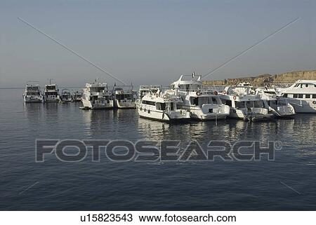 Stock Image - Many live aboard and day dive boats in marina at Sharm el Sheikh, Red Sea, Egypt. . Fotosearch