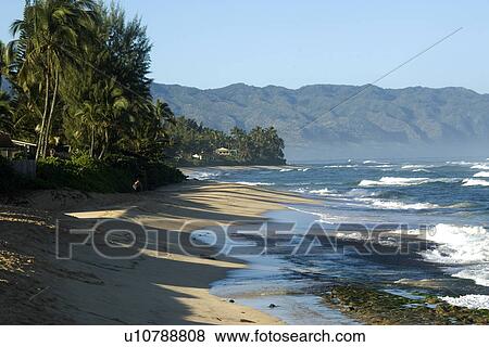 Stock Photo - North shore's lush coastline in winter, Oahu, Hawaii, USA. Fotosearch