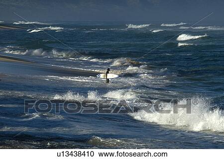 Surfer enters rough sea, North shore, Oahu, Hawaii, USA View Large Photo Image Stock Image - Surfer enters rough sea, North shore, Oahu, Hawaii, USA. Fotosearch