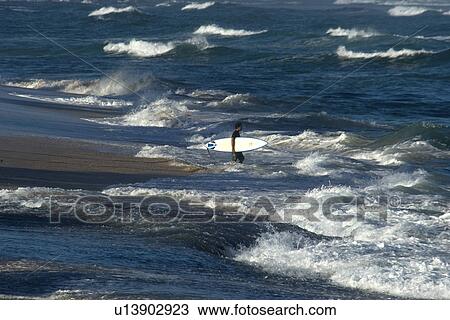 Surfer enters rough sea, North shore, Oahu, Hawaii, USA View Large Photo Image Stock Image - Surfer enters rough sea, North shore, Oahu, Hawaii, USA. Fotosearch