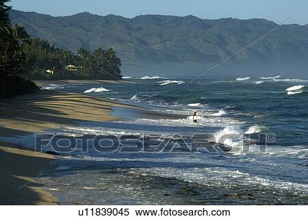 Stock Photography - Surfer enters rough sea, North shore, Oahu, Hawaii, USA. Fotosearch