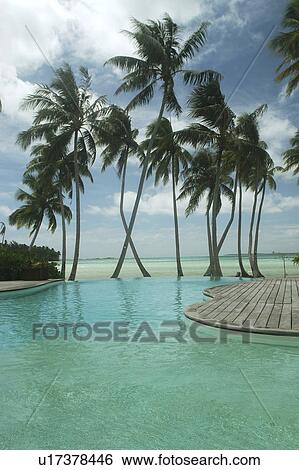 Stock Photograph - Swimming pool of International Hotel, Tahiti, French Polynesia, Southern Pacific Ocean . Fotosearch