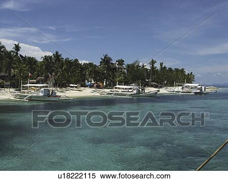 The south beach on Malapascua island, taken from the dive boat. Philippines. (2007) View Large Photo Image Stock Photography - The south beach on Malapascua island, taken from the dive boat. Philippines. (2007). Fotosearch