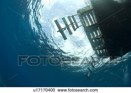 Underwater view of a boat. Compasspoint, Caymans. View Large Photo Image Stock Image - Underwater view of a boat. Compasspoint, Caymans.. Fotosearch