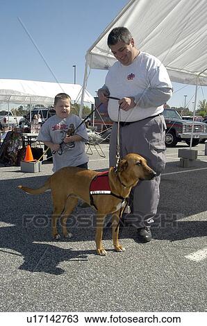 Boy helps handler with service dog View Large Photo Image Stock Image - Boy helps handler with service dog. Fotosearch