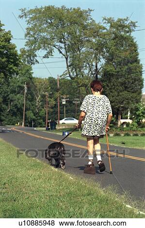 Woman with a physical disability, using a cane for assistance, walking her scruffy dog down the street. View Large Photo Image Stock Photo - Woman with a physical disability, using a cane for assistance, walking her scruffy dog down the street.. Fotosearch