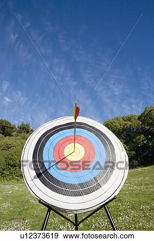 Arrow in bullseye of target View Large Photo Image Stock Photo - Arrow in bullseye of target. Fotosearch
