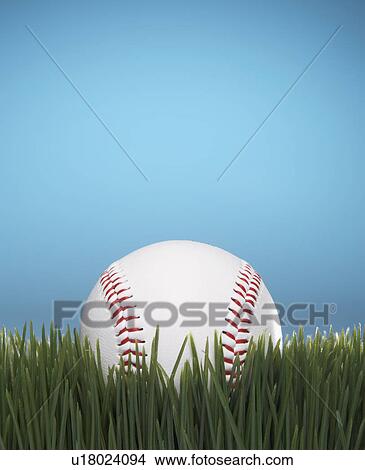 Picture - Baseball on Grass. Fotosearch