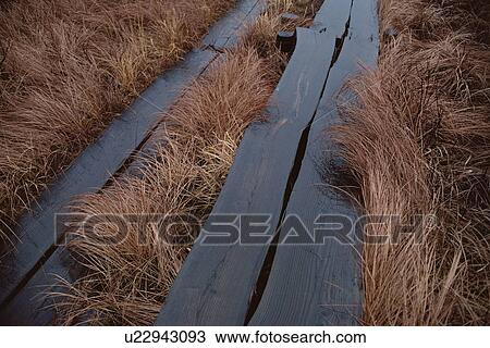 Stock Image - Boardwalk. Fotosearch