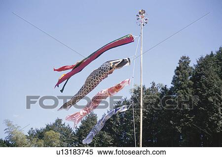 Carp Streamer View Large Photo Image Stock Photography - Carp Streamer. Fotosearch