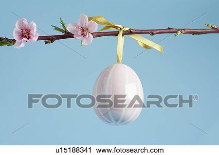 Ceramic Easter egg on Cherry blossom branch (close-up) View Large Photo Image Stock Image - Ceramic Easter egg on Cherry blossom branch (close-up). Fotosearch