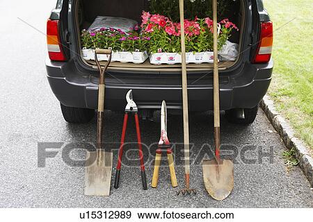 Stock Photo - Flowers and gardening equipment in car trunk. Fotosearch