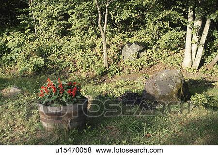 Stock Photo - Garden In Sunlight. Fotosearch