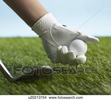 Picture - Golf Player Placing Golf Ball on Tee. Fotosearch