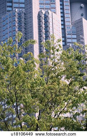 Office Buildings Behind Tree View Large Photo Image Stock Photo - Office Buildings Behind Tree. Fotosearch