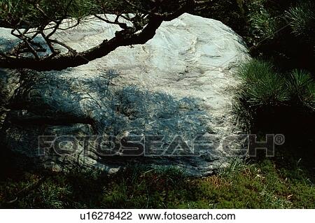 Stone Near Branch View Large Photo Image Stock Image - Stone Near Branch. Fotosearch