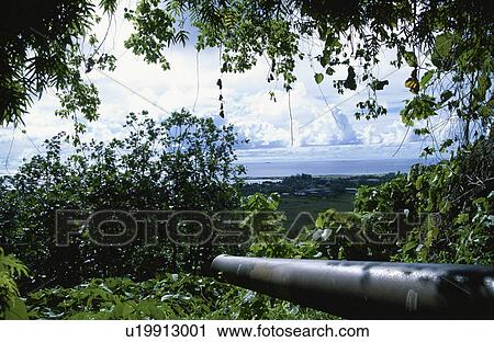 Stock Image - The Gun From World War Ii. Fotosearch