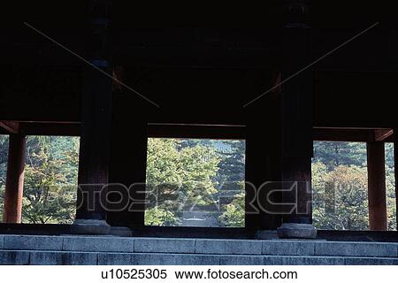 Stock Photography - Trees Behind Terrace. Fotosearch