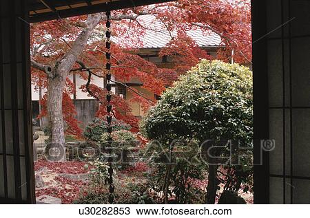 Autumn Leaves And A Shoji View Large Photo Image Stock Image - Autumn Leaves And A Shoji. Fotosearch