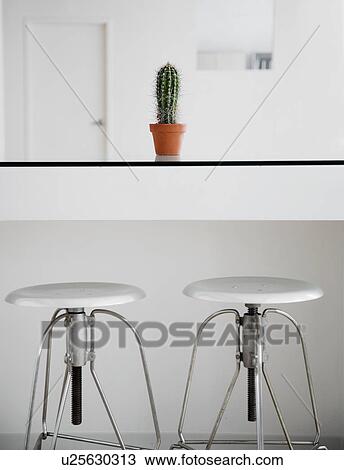 Cactus Near Two Stools View Large Photo Image Stock Image - Cactus Near Two Stools. Fotosearch