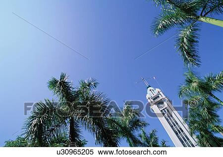 Stock Photography - Clock Tower And Palms. Fotosearch