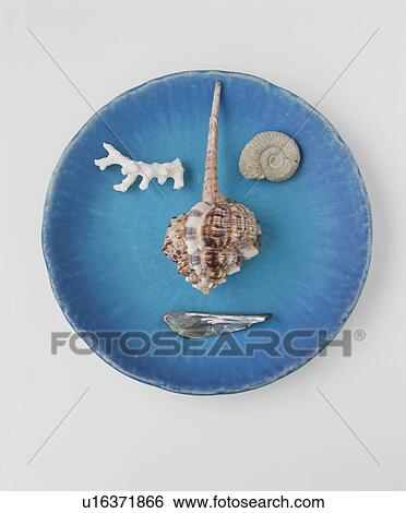 Stock Photograph - Face Made From Seashells. Fotosearch