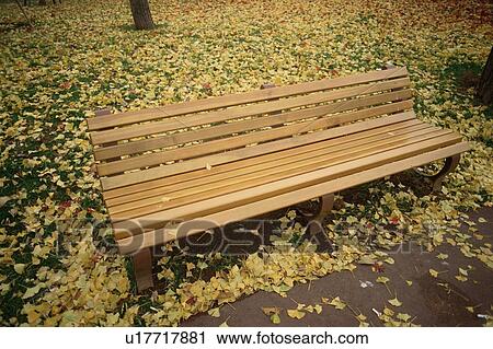 Fallen Leaves Around Bench View Large Photo Image Stock Image - Fallen Leaves Around Bench. Fotosearch
