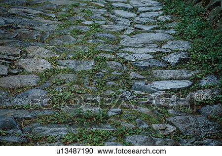 Grass On Stone Path View Large Photo Image Stock Image - Grass On Stone Path. Fotosearch