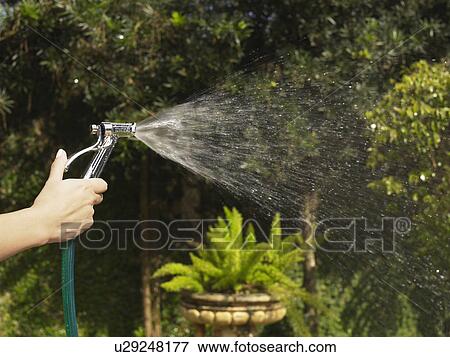 Hand holding water hose (close-up) View Large Photo Image Stock Photo - Hand holding water hose (close-up). Fotosearch