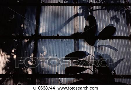 Leaves Against Sheet Metal View Large Photo Image Picture - Leaves Against Sheet Metal. Fotosearch