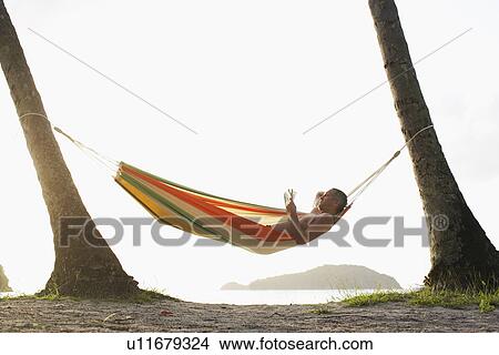Mid adult man reading magazine on hammock, St. John, US Virgin Islands, USA View Large Photo Image Picture - Mid adult man reading magazine on hammock, St. John, US Virgin Islands, USA. Fotosearch