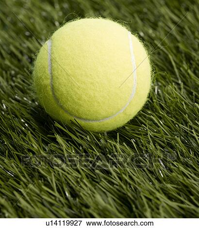 Single Tennis Ball View Large Photo Image Stock Photo - Single Tennis Ball. Fotosearch