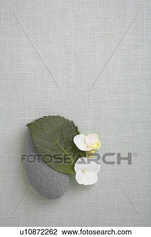 Stock Image - Stone and flowers on cloth. Fotosearch