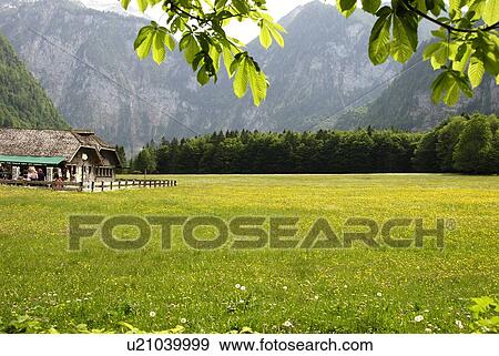 Stock Photo - The Meadow And Souvenir Shop. Fotosearch