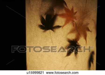 The Silhouette Of The Lit-Up Autumn Leaves View Large Photo Image Stock Image - The Silhouette Of The Lit-Up Autumn Leaves. Fotosearch