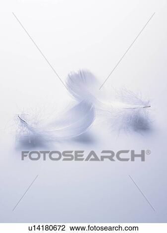 Wings View Large Photo Image Stock Image - Wings. Fotosearch