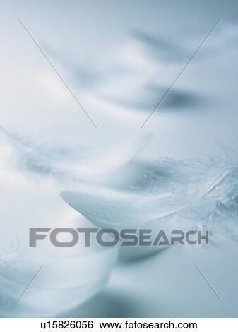Wings View Large Photo Image Stock Photograph - Wings. Fotosearch