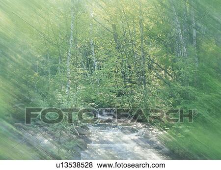 Stock Photo - Woodland River. Fotosearch
