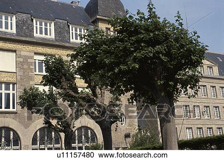 A Building And Roadside Trees View Large Photo Image Stock Image - A Building And Roadside Trees. Fotosearch