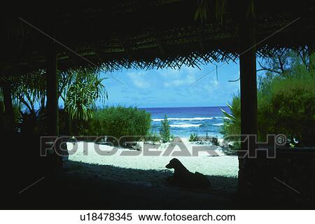 Stock Photography - A Cottage And A Dog. Fotosearch