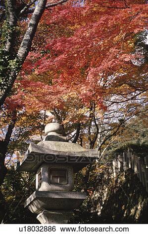 A Stone Lantern And Autumn Leaves View Large Photo Image Stock Photograph - A Stone Lantern And Autumn Leaves. Fotosearch