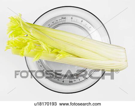 Celery on bathroom scale (close-up, directly above) View Large Photo Image Stock Image - Celery on bathroom scale (close-up, directly above). Fotosearch