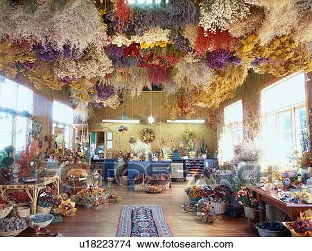 Picture - Dried Flower Shop. Fotosearch