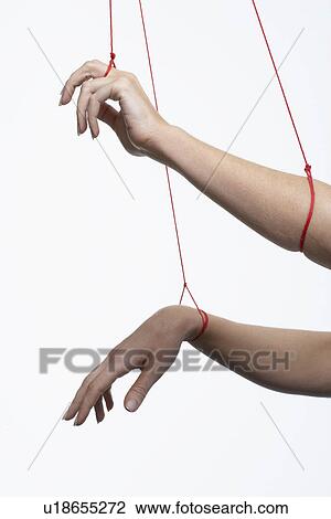 Female marionette's arms, close-up View Large Photo Image Stock Image - Female marionette's arms, close-up. Fotosearch