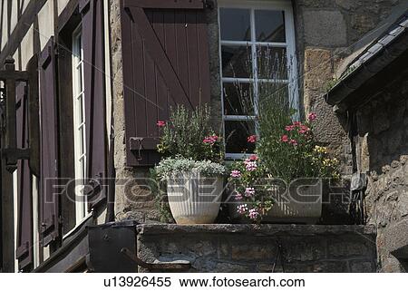Stock Photography - Flower Pot. Fotosearch