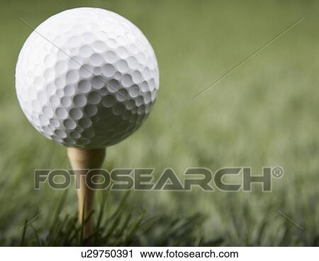 Golf Ball on Golf Tee View Large Photo Image Stock Image - Golf Ball on Golf Tee. Fotosearch