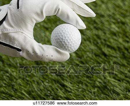 Stock Photograph - Human Hand Holding Golf Ball. Fotosearch