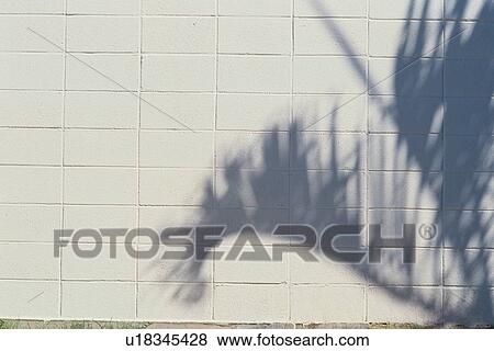 Stock Photo - Leaf Shadows On Brick Wall. Fotosearch